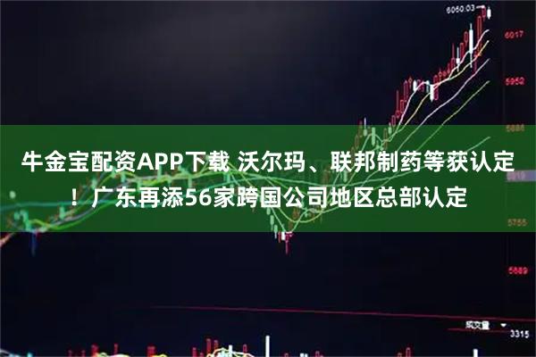 牛金宝配资APP下载 沃尔玛、联邦制药等获认定！广东再添56家跨国公司地区总部认定