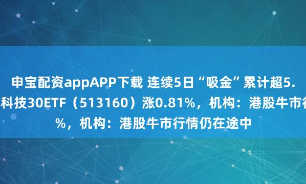 申宝配资appAPP下载 连续5日“吸金”累计超5.4亿元，港股科技30ETF（513160）涨0.81%，机构：港股牛市行情仍在途中